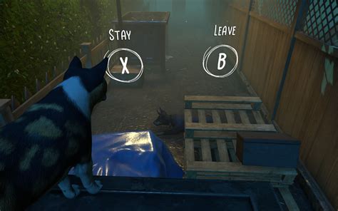 copycat game|Copycat Review – Don’t Call It Just a Cat Game, It’s So Much .
